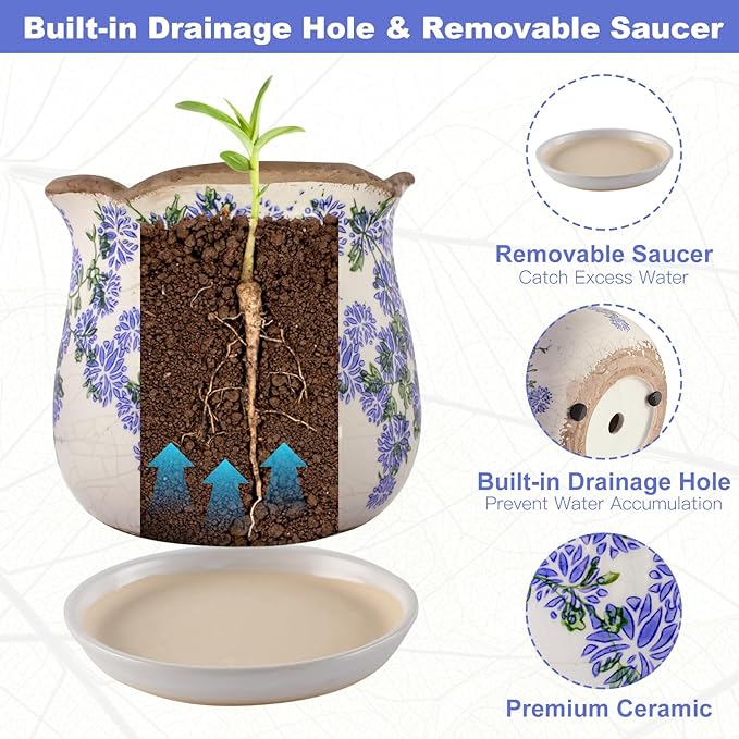 Ceramic-Planters-for-Indoor-Plants - Image 5