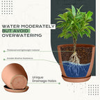 Utopia Home - Plant Pots Indoor - 7/6.6/6/5.3/4.8 Inches Home Decor Flower Pots - Image 3