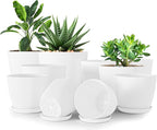Utopia Home - Plant Pots Indoor - 7/6.6/6/5.3/4.8 Inches Flower Pots by UTOPIAHOME