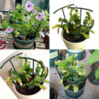 14Pcs Plant Support Stake Half Round Plant Support Ring Garden Flower Support - Image 5