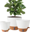 8/10/12 Inch Self Watering Pots by Fielda