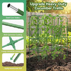 65" Tall Cucumber Trellis for Raised Bed, Garden Trellis for Climbing Plants - Image 2