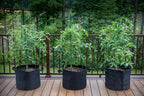 Gardzen 10-Pack 3 Gallons Grow Bags, Aeration Fabric Pots - Image 8