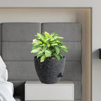 12 inch Large Self Watering Pots, Plant Pots - Image 7