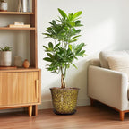 Ceramic Pots for Plants - Image 4