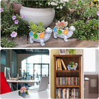 Turtle Succulent Planter, Resin Material, Indoor/Outdoor Use, Cute Decor - Image 6