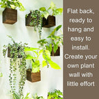 LaLaGreen Wood Planter Box for Plants Small Square Wall Planters for Indoor - Image 5