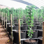 Air Pruning Containers, 14 Gallon Air Pruning Planters, Plastic Pots - Image 2