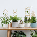 Indoor Plant Trellis for Potted Plants, 16inch Gold Small Trellis for Climbing - Image 7