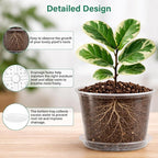 8 Packs 8 Inch Reinforced Large Clear Nursery Pots - Image 3