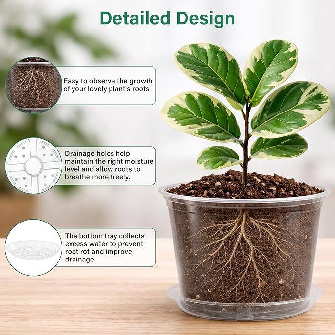 8 Packs 8 Inch Reinforced Large Clear Nursery Pots - Image 3
