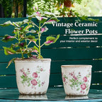 Vintage Ceramic Planter with Drainage Hole, Plastic Tray & Mesh, 6.5 Inch - Image 3