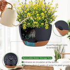 Hanging Planters for Indoor Plants - Image 4