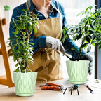 6 Pack 6 Inch Indoor Plant Pots - Image 7