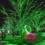 300 LED St Patricks Day Lights, 98.5FT Christmas String Lights - Image 5