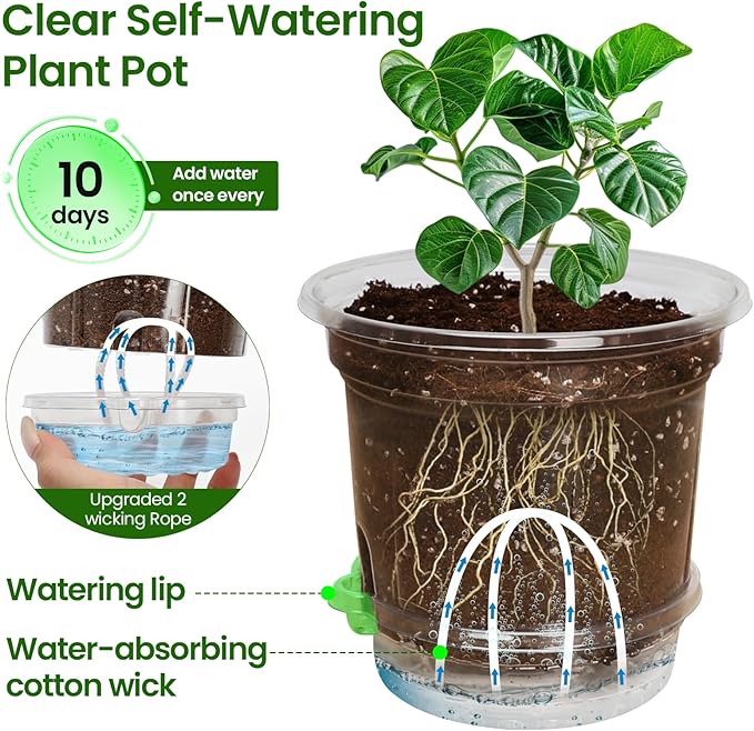 MIXC 12 Packs 6.5 Inch Self Watering Pots - Image 2