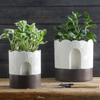 Nihow Self Watering Plant Pot: 6 Inch Ceramic Planter - Image 7