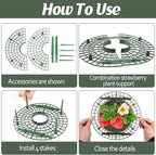 4 Sets Strawberry Plant Support - Image 3