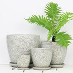 6 Inch Ceramic Planter Pots - Image 4