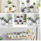 5 Pack 5 inch Self-Watering Pots, African Violets Planter - Image 3