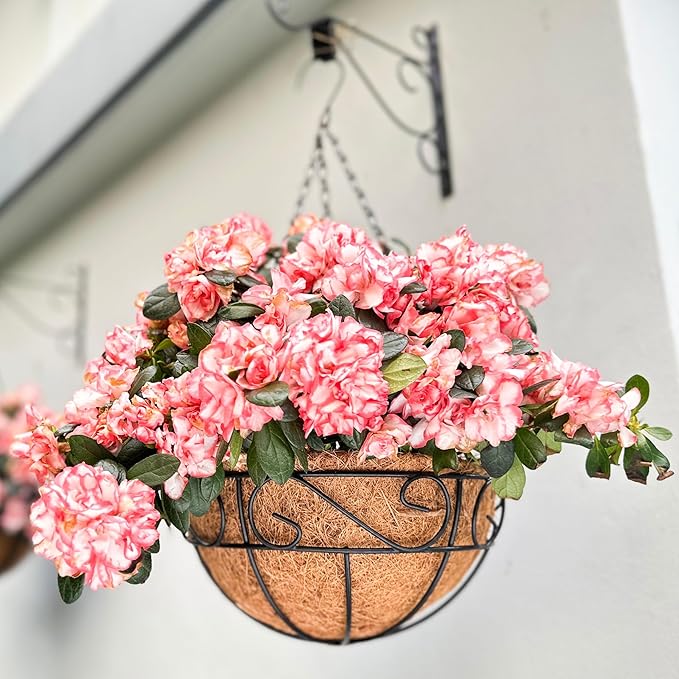 LaLaGreen Hanging Planter for Outdoor Plants Hanging Baskets - Image 9