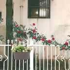 3 Pack Metal Railing Planters, 10.5" Oval Hanging Flower Pots - Image 7