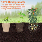 60 Packs 3.15 Inch Peat Pots, Biodegradable Pots - Image 6