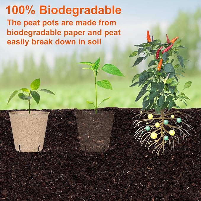60 Packs 3.15 Inch Peat Pots, Biodegradable Pots - Image 6
