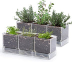 D'vine Dev Herb Garden Planter Set, Plastic Plant Pots by DvineDevPlanterPotsandStand