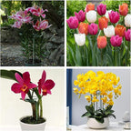 Joyhalo 12 Pack Plant Support Stakes 24 Inch, Plant Stakes, Flower Stakes - Image 7