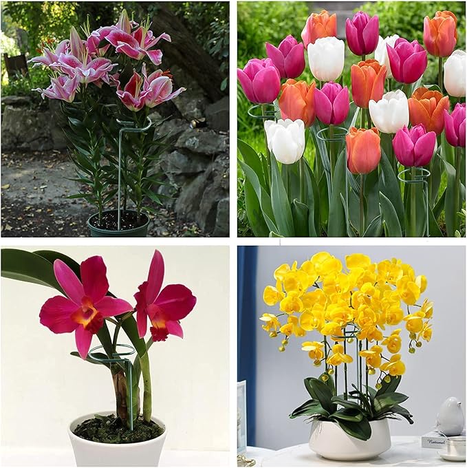 Joyhalo 12 Pack Plant Support Stakes 24 Inch, Plant Stakes, Flower Stakes - Image 7