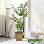 Dexceder 13x12 Self Watering Planter - Image 6