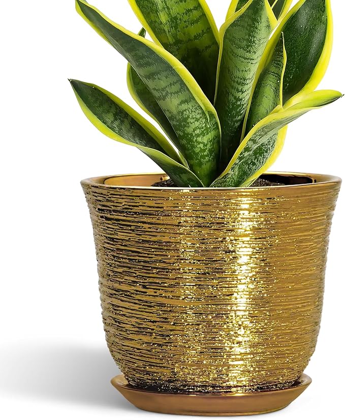 Ceramic Plant Pots by SUNPOTFOR