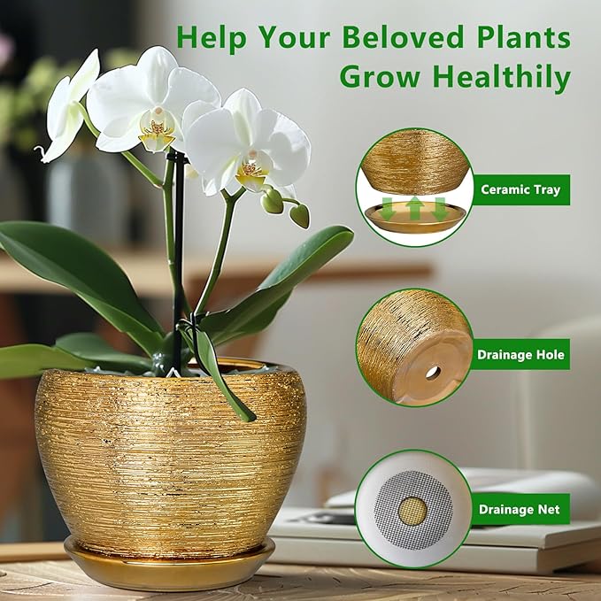 Ceramic Plant Pot 8 Inch - Image 6