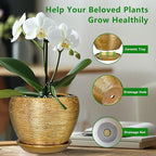 Indoor Plant Pot 6 Inch - Image 6