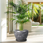 8 Inch Plant Pot - Image 6