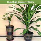 SumDirect Plant Tape 100 ft Plant Ties - Image 7