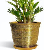 Ceramic Planter by SUNPOTFOR