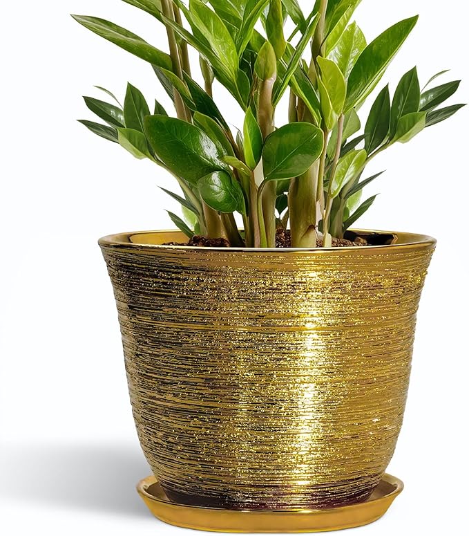 Ceramic Planter by SUNPOTFOR
