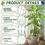 LEIFIDE 2 Pcs 33in Plant Trellis - Image 4