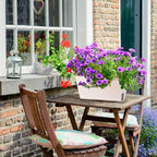 OurWarm 3 Pack Self Watering Herb Planter Set - Image 5