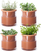 Phoenix Vine 4 Inch Self Watering Plants Pot, Design Terracotta Pot by Phoenix+Vine