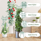 10 Pack Indoor Plant Trellis for Potted Plants, Stackable Garden Trellis for - Image 3