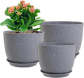 10/9/8 inch Plant Pots, Flower Pots by WSMKSZ