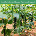 Riare 6 Pack 4 FT Tomato Cages for Garden- 48inches Heavy Duty Garden Stakes - Image 7