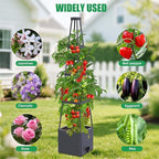 2-Pack Tomato Planter with Trellis, Tomato Cages - Image 6