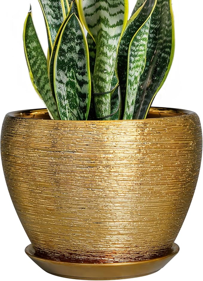 Ceramic Plant Pot 8 Inch by Ceramicfor