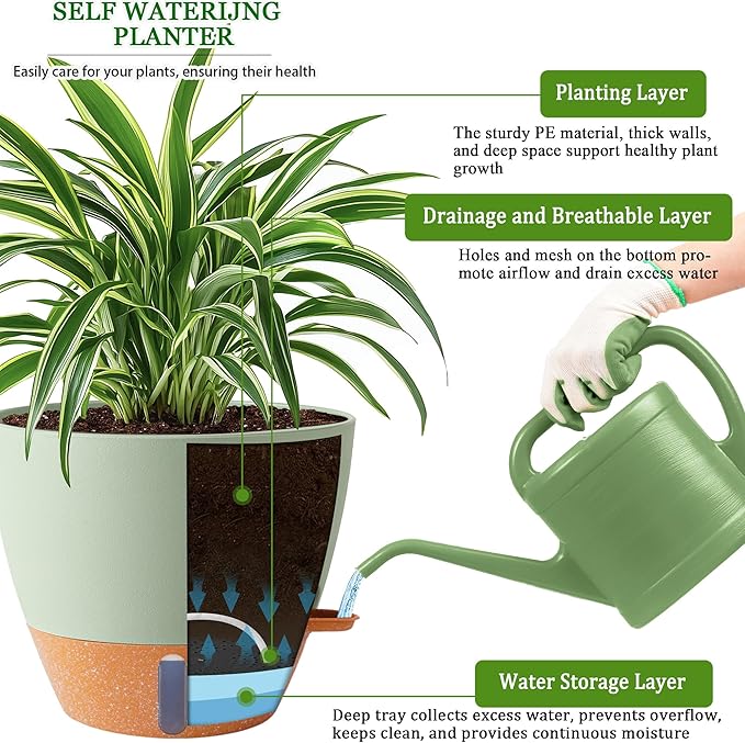 8/10/12 Inch Self Watering Pots - Image 7