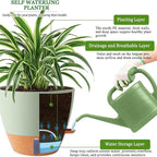 8/10/12 Inch Self Watering Pots - Image 7