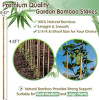 Bamboo Stakes, 4.8FT Natural Bamboo Garden Stakes, BOVITRO 20Pcs Plant Stakes - Image 3